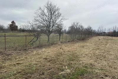 Vand casa 3 camere plus anexa - 3