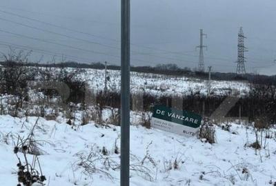 Teren intravilan in Corunca Teren intravilan in Corunca - 4