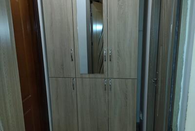 Garsonieră semidecomandată în Vișina - 6
