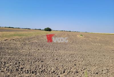 Teren parcelat cu PUZ aprobat 27.000mp - 1
