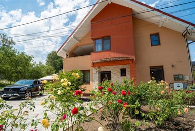 Casă cu 4 camere cu Teren 1500 Mp în Vulcan - 15