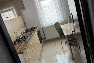 De inchiriat apartament 2 camere langa Iulius Mall - 10