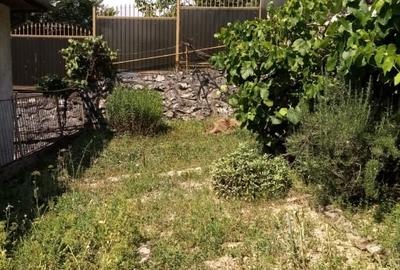 Casă bifamilială foarte bine întreținută, cu facilități bune - 14