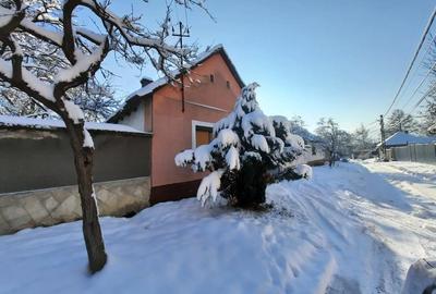 Casă cu Teren 851 Mp în Uileacu de Beiuș - 1