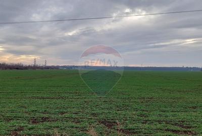 Teren 19,999.86mp Paulesti / Autostrada DN1 - 2