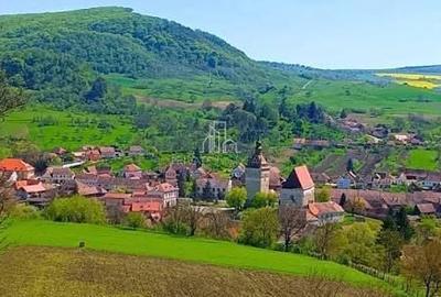 Teren de 110000 mp, în Saschiz - 2