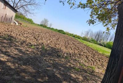 Casă cu 2 camere în Brezoaia - 1