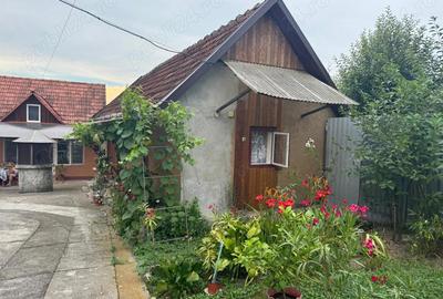 Casă cu 3 camere cu Teren 5200 Mp în Țela - 8