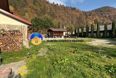 Vila-posibilitate pensiune Tarcau DN - 15