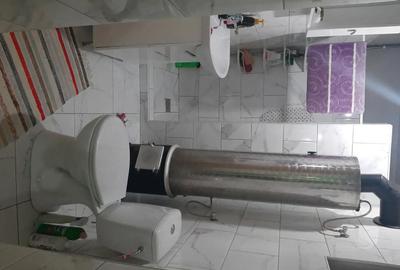 Casă cu 3 camere cu Teren 1930 Mp în Tulgheș - 2