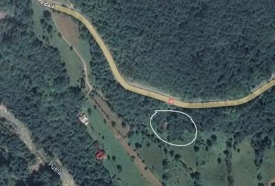Casă cu 4 camere cu Teren 1500 Mp în Lepșa