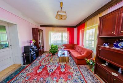 DE VANZARE Oportunitate rara proprietate cu 2 case zona Ulmeni - 20