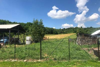 Vand casa la ?ara - 9