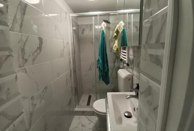 De vanzare apartament 2 camere Bucuresti Sector 1 Chitila Mall Colosseum - 13