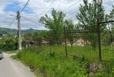 Teren Construcții intravilan de 4200 mp, în Ocina de Sus - 6