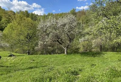 Casa ?i teren de vanzare - 5