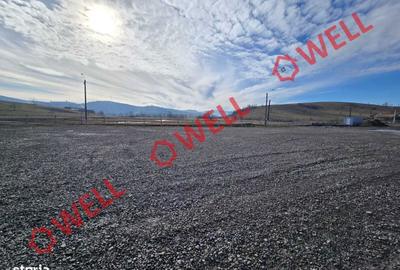 Teren de 6837 mp, în Barcani - 3