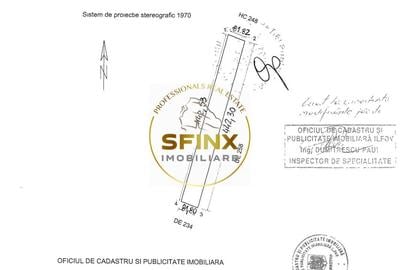 Teren agricol intravilan de 36000 mp, în Dascălu - 2