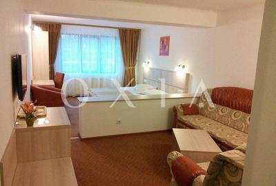 SX475 Valiug- Oportunitate de investitie in turismul montan! - 4