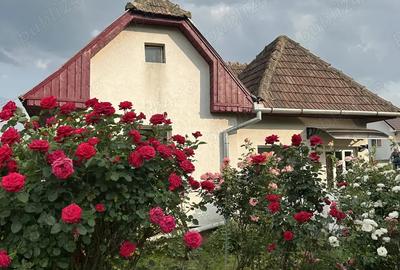 Casa de vanzare in Viisoara - 2