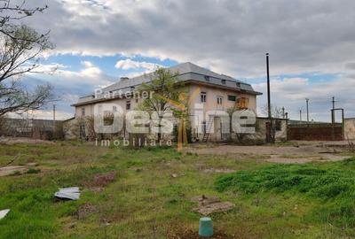 Teren Construcții intravilan de 15011 mp, în Muntenii de Sus - 2