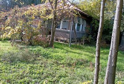 Casă cu 3 camere cu Teren 3409 Mp în Central - 3