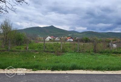 Teren Construcții intravilan de 2880 mp, în Șiria - 3