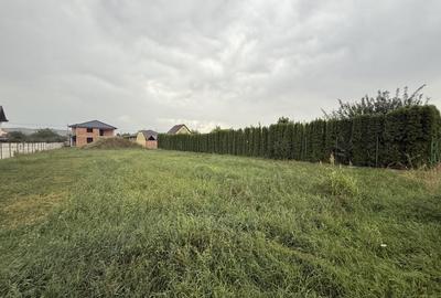 Teren Construcții intravilan de 815 mp, în Cetate - 2