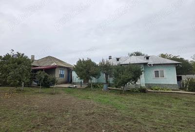 Casa cu teren 3000 mp de vanzare Mahmudia - 2