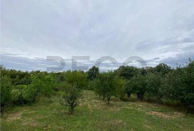 RECO Casa cu teren in Hidiselul de Sus - 2