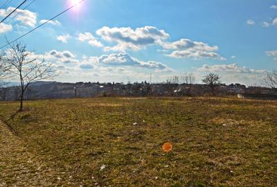 Teren Construcții intravilan de 11167 mp, în Săldăbagiu de Munte - 2