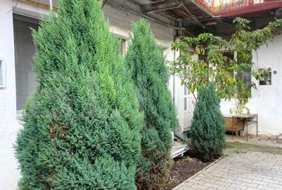 Garsoniera decomandata, 40 mp, curte, parcare, zona strazii Traian - 6