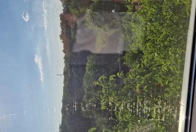 Vand apartament 2 camere Gavana - 7