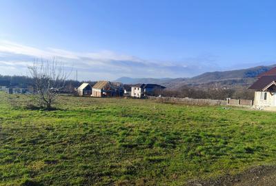 Teren de 2100 mp, în Exterior Vest - 4