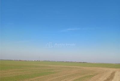 Teren 30250 mp - ideal investitie - - 2