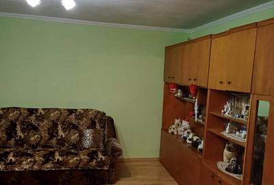 Casă cu 2 camere cu Teren 3150 Mp în Șanovița - 10