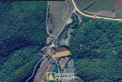Teren de 4961 mp, în Vărădia de Mureș - 10
