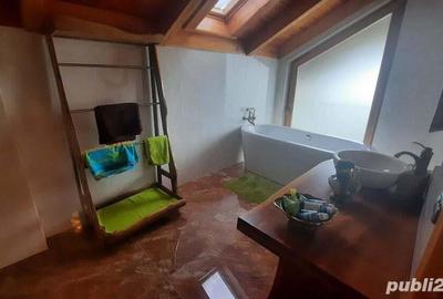 Loc. Unguras (jud, MM) - proprietate deosebita - 3