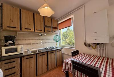 Apartament de vanzare cu 1 camera, mobilat si utilat, Ultracentral - 6