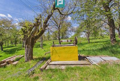 Casă individuală cu 2 camere cu Canalizare în Măgulicea - 8