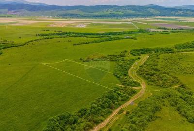 Teren de 10800 mp, în Râșnov - 10