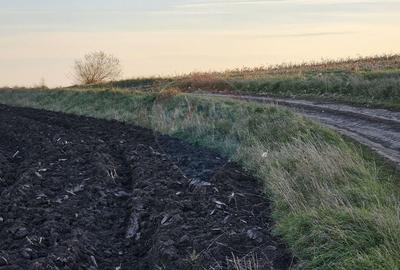 Teren agricol extravilan de 30077 mp, în Stroiești - 14