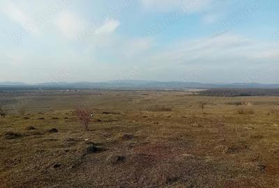 Teren - 7.132 mp zona deosebita , str Alexandru cel Bun Teren - 7.132 mp zona deosebita , str Alexandru cel Bun - 1