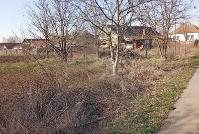 Casă cu Teren 2503 Mp în Central - 3