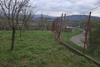 Spațiu comercial, în Uioara de Sus - 6