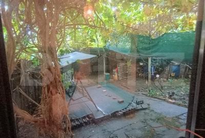 Apartament cu 3 camere si curte de 166 mp in proprietate, zona Rudului - 12