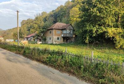 Casă cu 4 camere cu Teren 7000 Mp în Almașu Mare