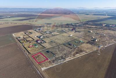 Teren Construcții intravilan de 1007 mp, în Hălchiu - 8