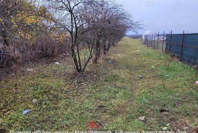 Casa in Filipestii de Targ,teren 2700 mp-- 29.000e - 4