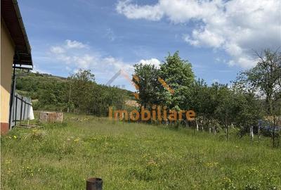 Spațiu comercial, în Sântandrei - 3